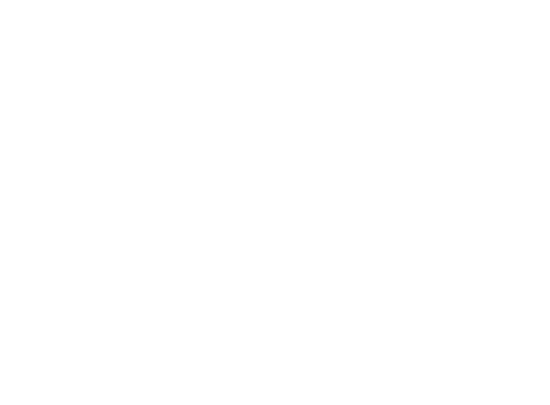 Bottom-Entry-Light.png