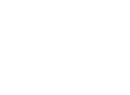 Left-Entry-light.png